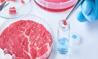 Лабораторный анализ пищевых продуктов по СанПиН в Соли-Илецке в октябре